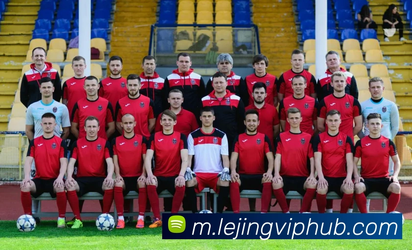 乐竟体育平台生态图